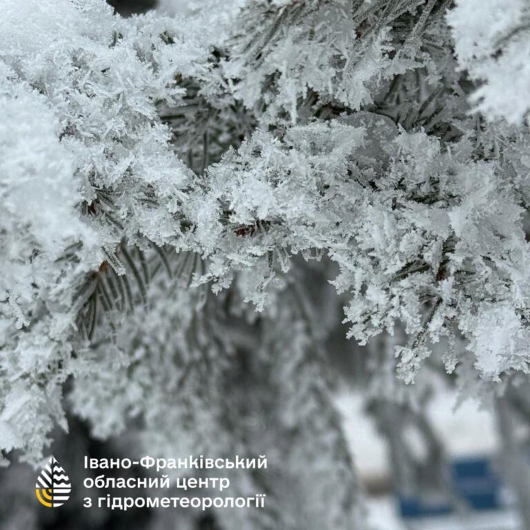 На гілках, хвої та дротах: на Франківщині утворилася кристалічна паморозь (ФОТО)